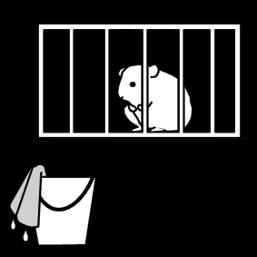 hamster clean cage